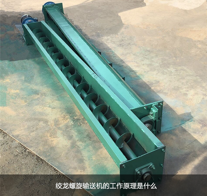 蛟龙午夜精品久久久久久久图片